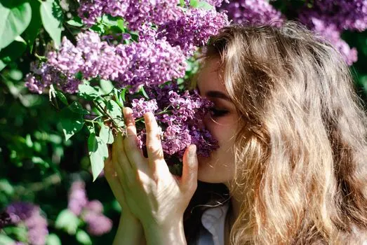 Чувства — Senses