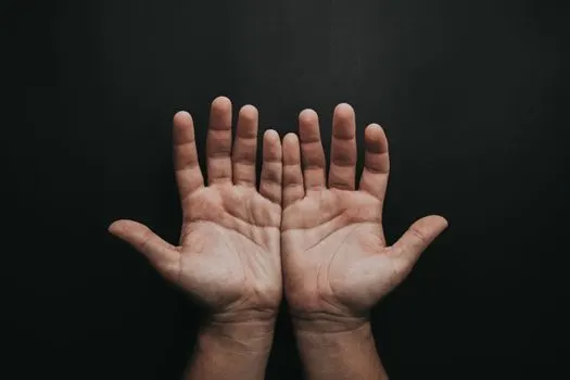 il est vrai que — istina je da