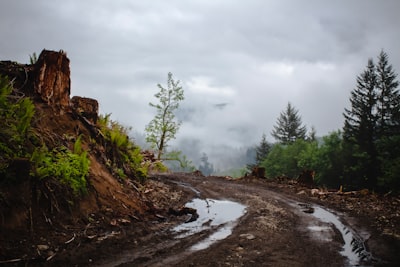 boueux — muddy