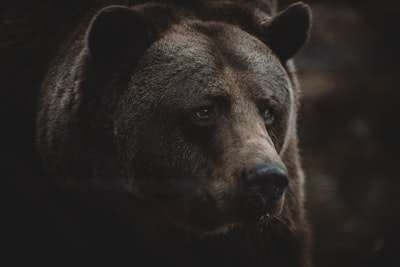 carga con el peso — bears the burden