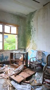 потрёпанный — logoro