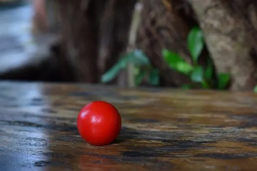 Шарик — Ball