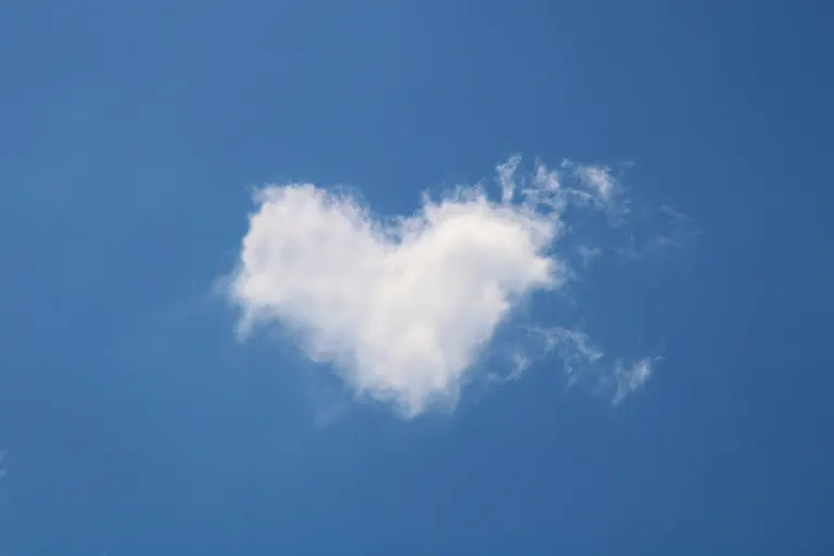 it looks like the — se parece al