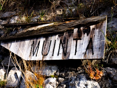 murmurer — murmur