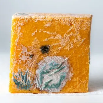 Консерванты — Preservatives