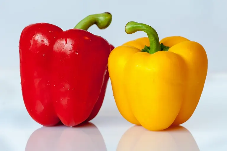 vegetable — légume