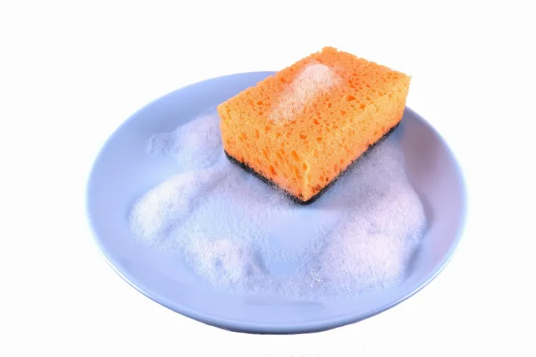 sponge — éponge