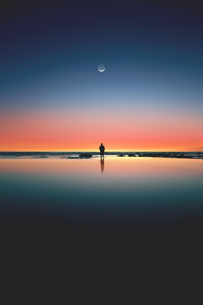 solitaire — lone