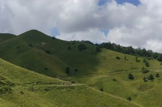 вершина холма — brow of a hill