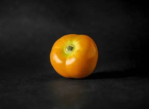 Тыква — Pumpkin