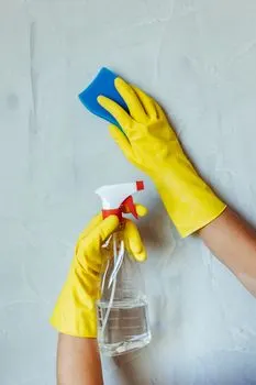 Очищенный — Cleansed