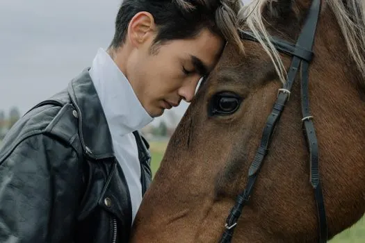 Лошадиный — equine