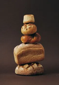 Crust — croûte