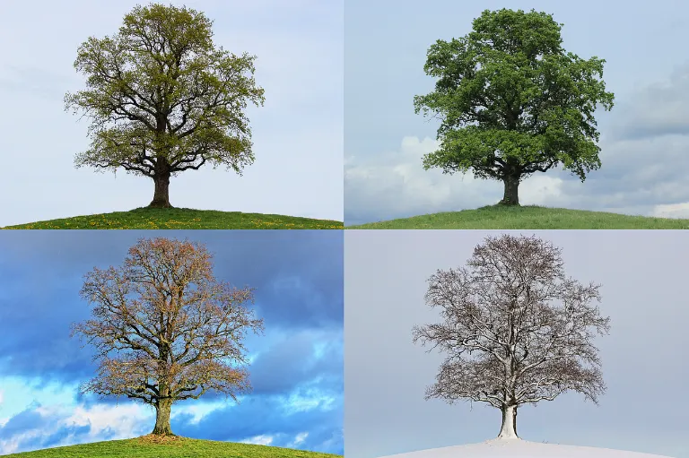 over time — avec le temps