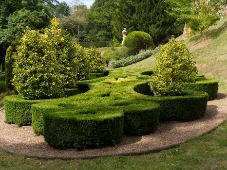 Кустарники — Shrubbery