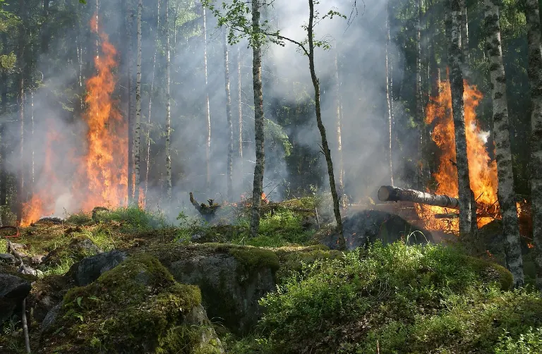 on fire — en feu