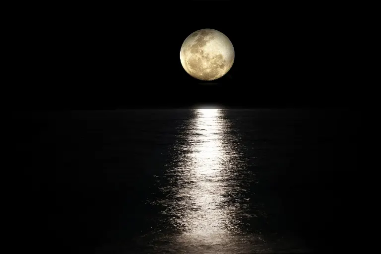 moonbeam — rayon de lune