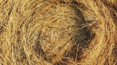 balle — bale