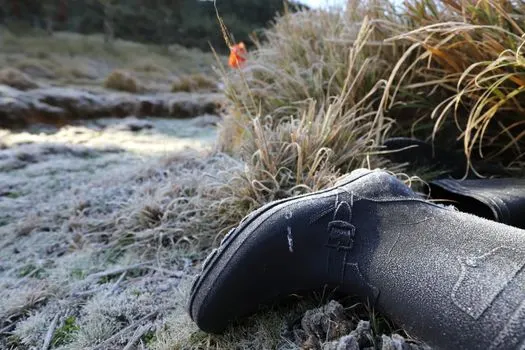 Валенок — Felt boot