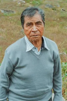 Vechiul — velho