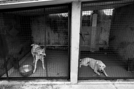 Содержание животных в неволе — Captivity in animals