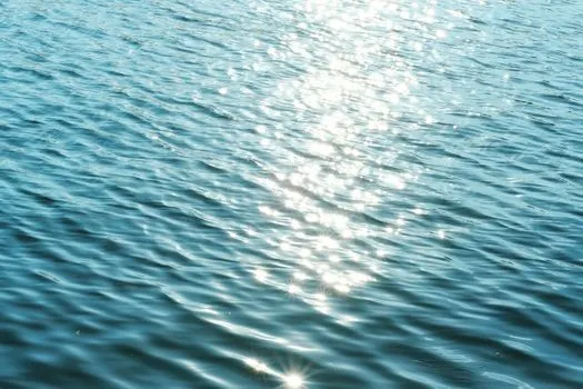 блестящая гладкость — glistening smoothness