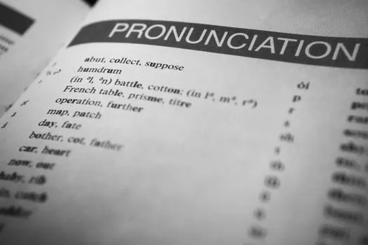 Linguiste — dilbilimci