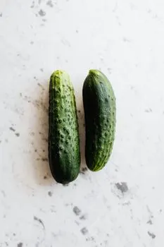 Gurke — salatalık
