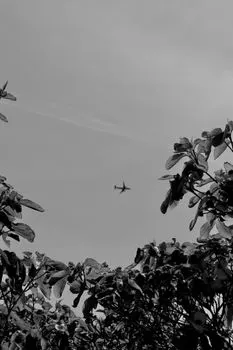 Вылетать — Fly out