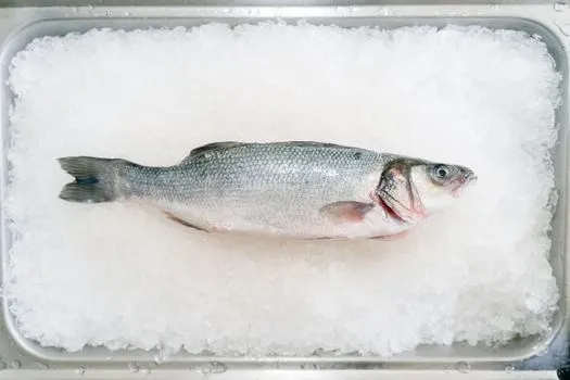 рыбы — pesce