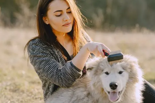 četkati — fırçalamak
