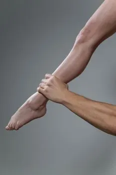 Нога — Leg