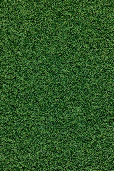 pelouse — lawn