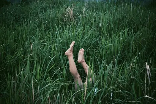 Бессмысленно — Inanely