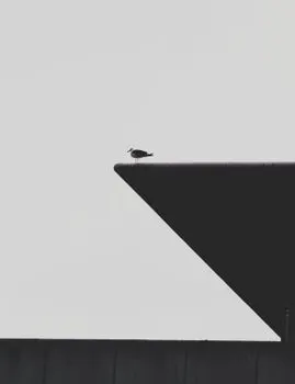 Присев — Perched