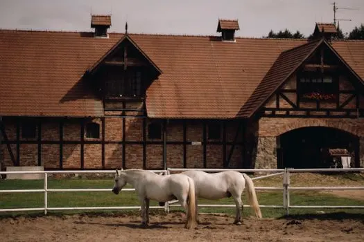 Конюшни — Stables