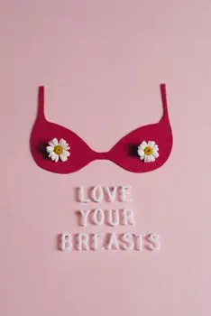 Бюстгальтер — Bra