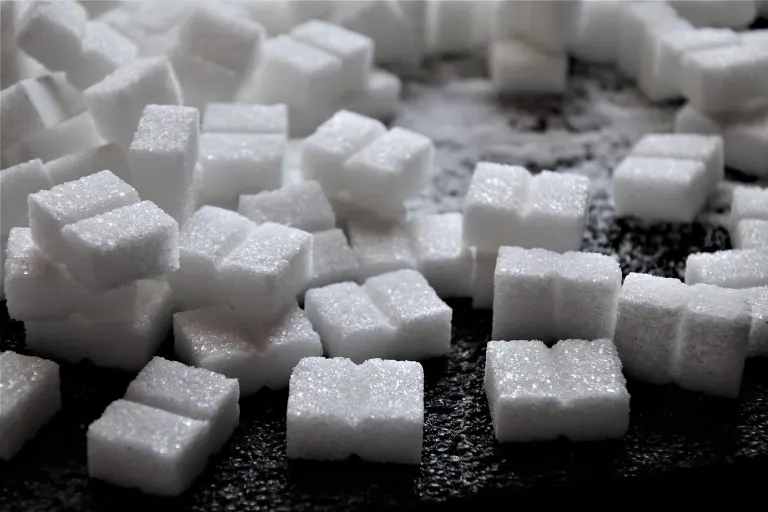 sugar — sucre