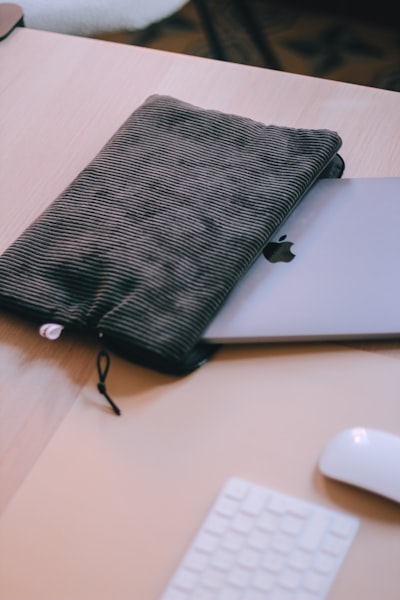 compañerismo — camaraderie