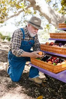 Da li je domaće? — Est-ce un produit local ?