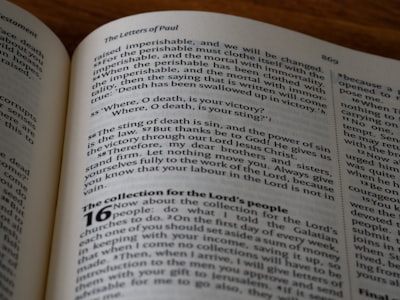 obligations du propriétaire — landlord's obligations