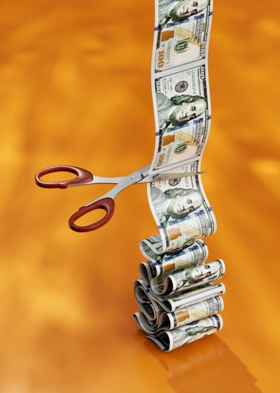 Unexpected expenses — dépenses imprévues