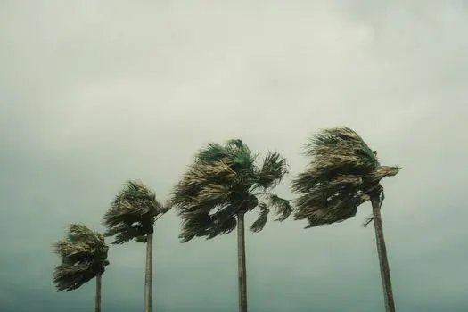 gale-force — de force tempête