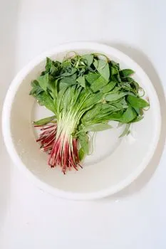 Капуста — kupus