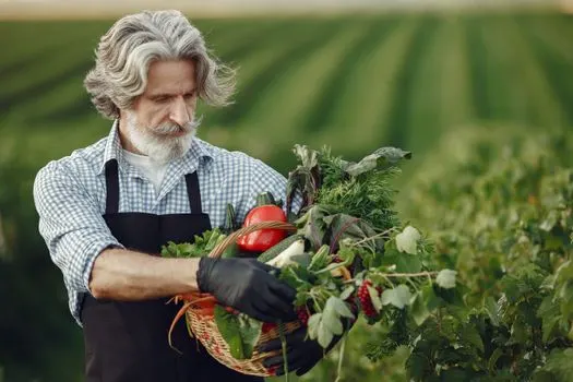 qui travaille ne craint pas la faim — ko radi, ne boji se gladi