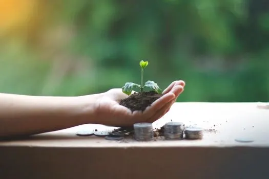 Investition — yatırım