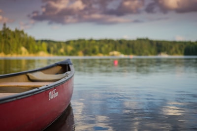 кататься на лодке — canoter