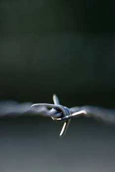Шип — spike