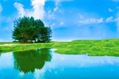 naturalism — naturalisme
