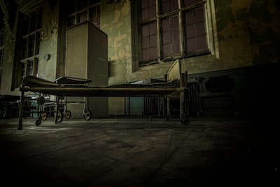 Asylum — asile